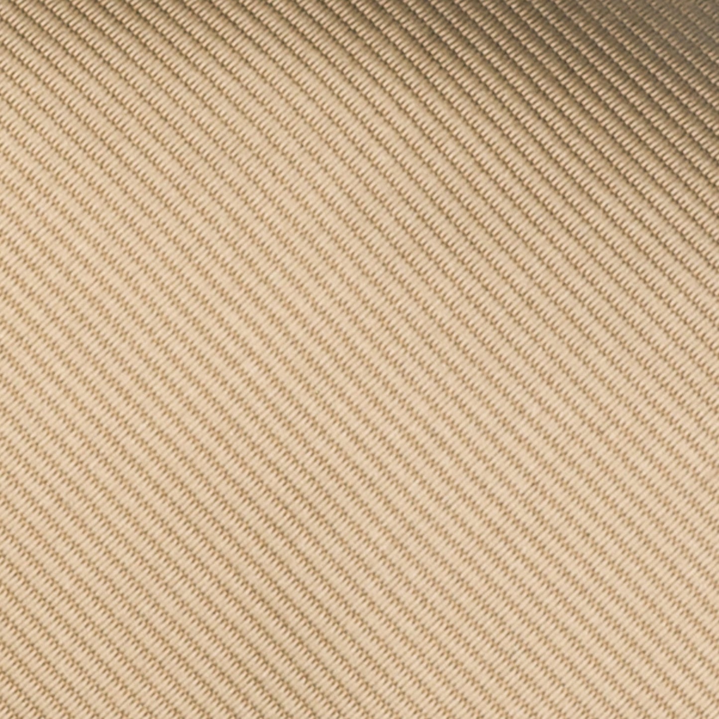 シャンパンゴールドの無地トゥルーソリッドネクタイ｜FOURBUTTONS Necktie - FOURBUTTONS ONLINE
